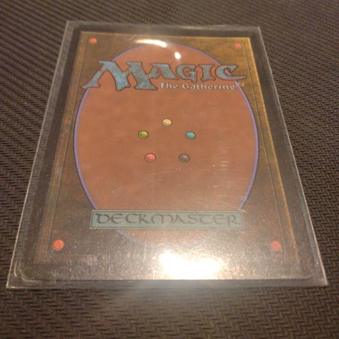 ○mtg オセロットの群れ　ストアチャンピオンシップ　プロモ
