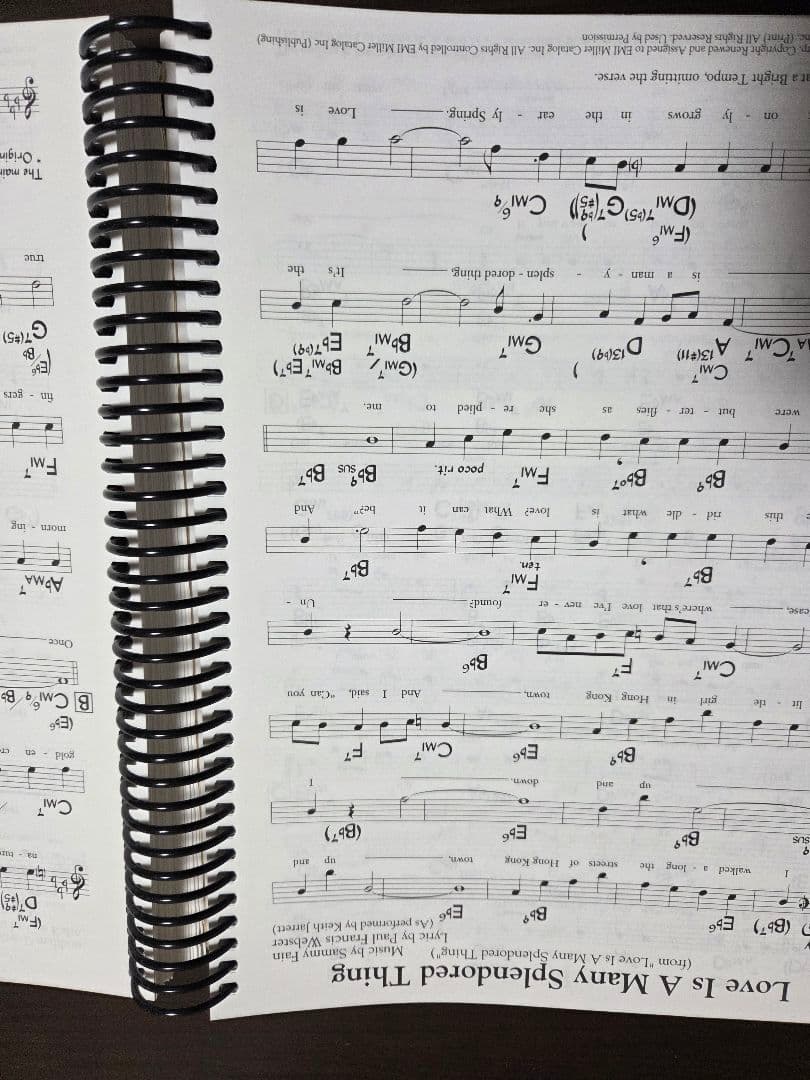 アート・デザイン・音楽 The Standards Real Book C Version