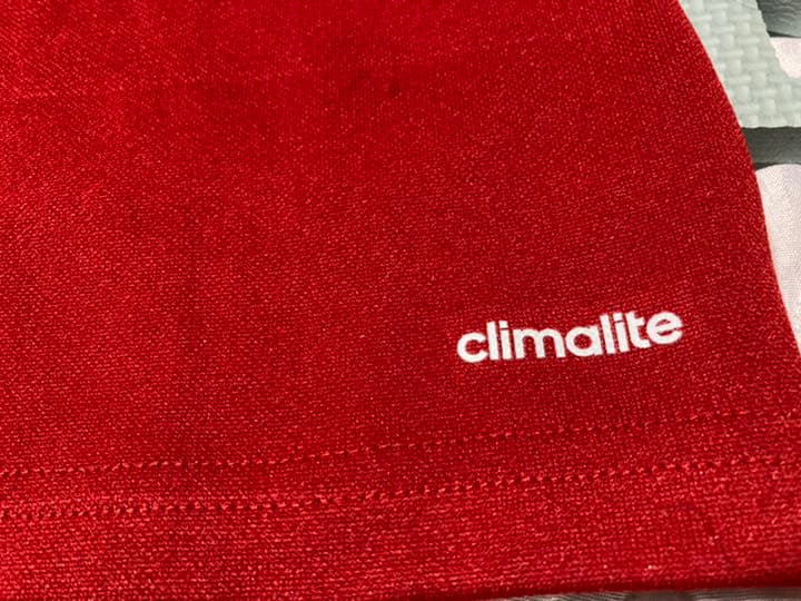 (使用済)(Auツアー)ブリティッシュ　アイリッシュライオンズ2013(値引)