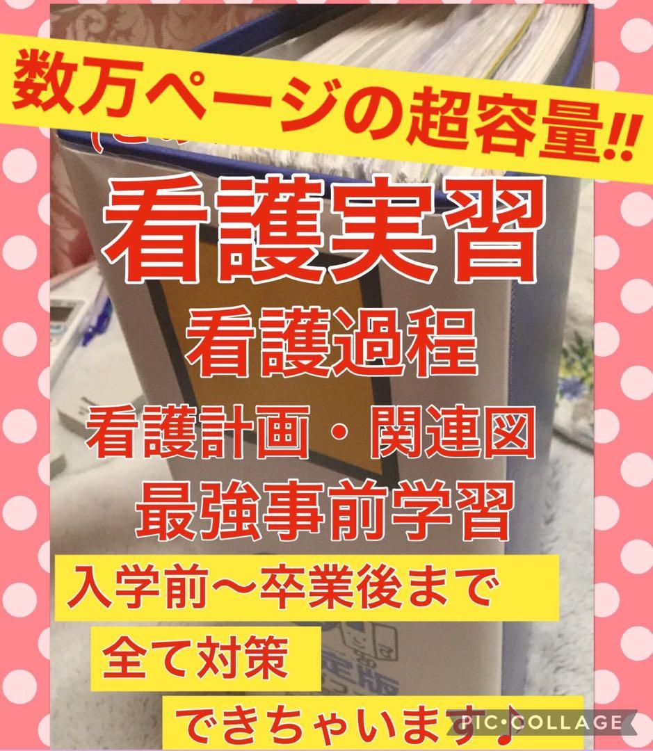 看護学生 看護実習 手順書 関連図 看護過程 看護学校 実習記録 国家試験 資料