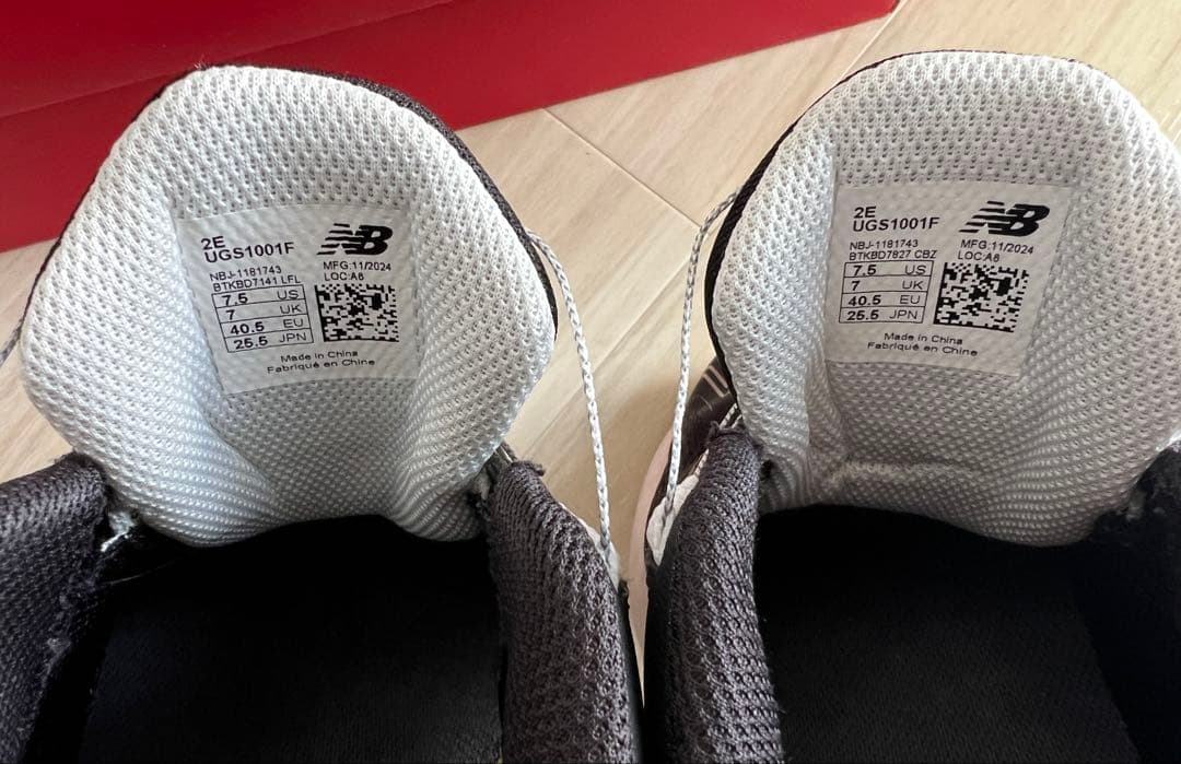 ニューバランス FuelCell 1001 v5 BOA UGS1001F