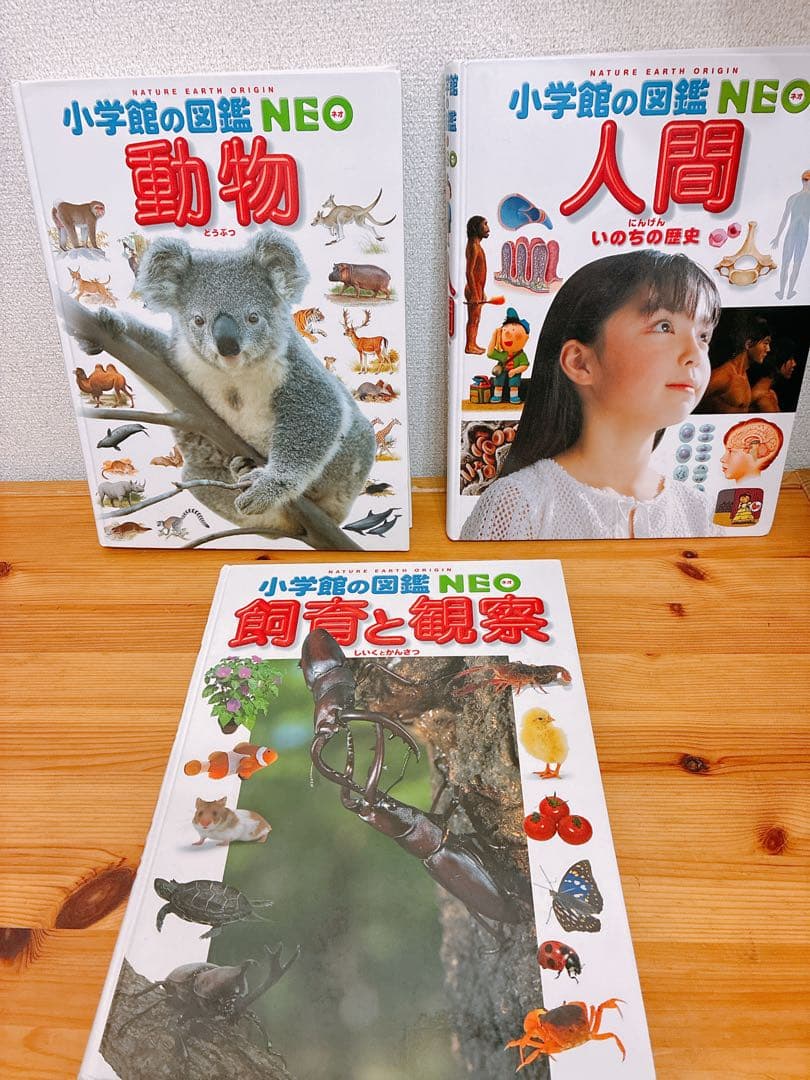 小学館の図鑑NEO 13冊セット　バラ売り❌