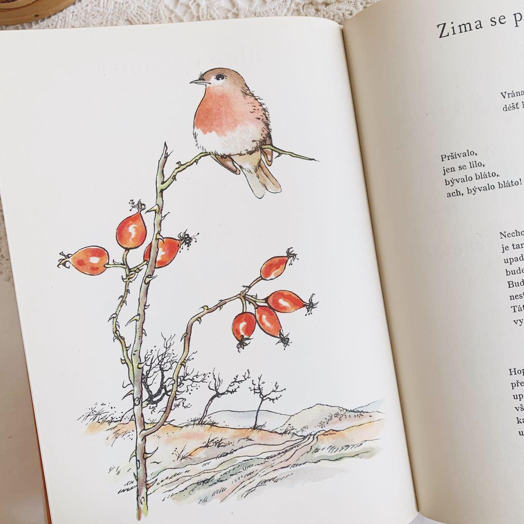 「秋」⋆素敵な挿画のチェコ古書 1954年 カレル・スヴォリンスキー　ビンテージ