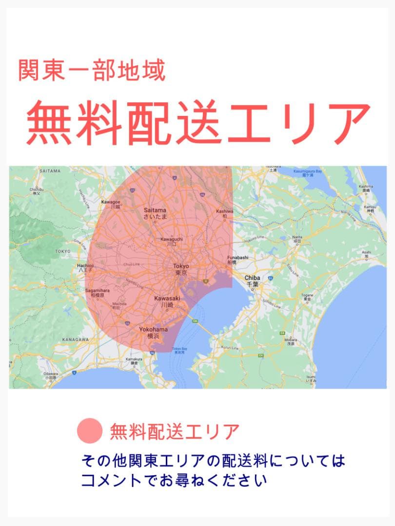 ホワイト 王様 ギュットアニーズ子供乗せ電動アシスト自転車 H3653