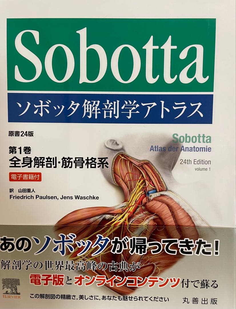 ソボッタ解剖学アトラス 3巻セット（第1巻、2巻、3巻）