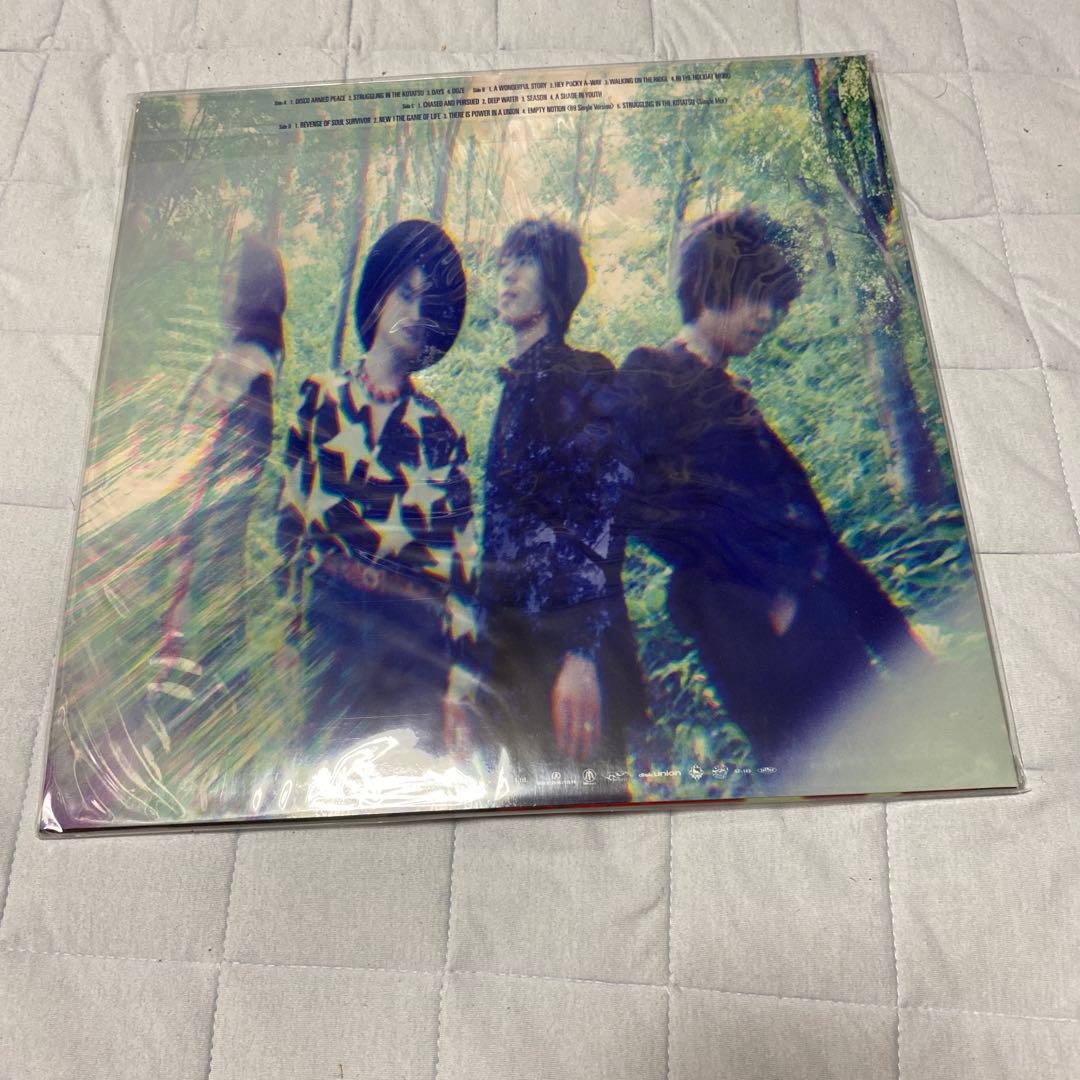 ニューエスト・モデル　ソウル・サバイバー　レコード　新品未開封　再発