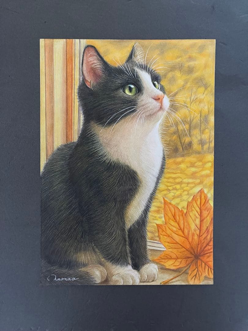 色鉛筆画 A4 ハチワレ猫133
