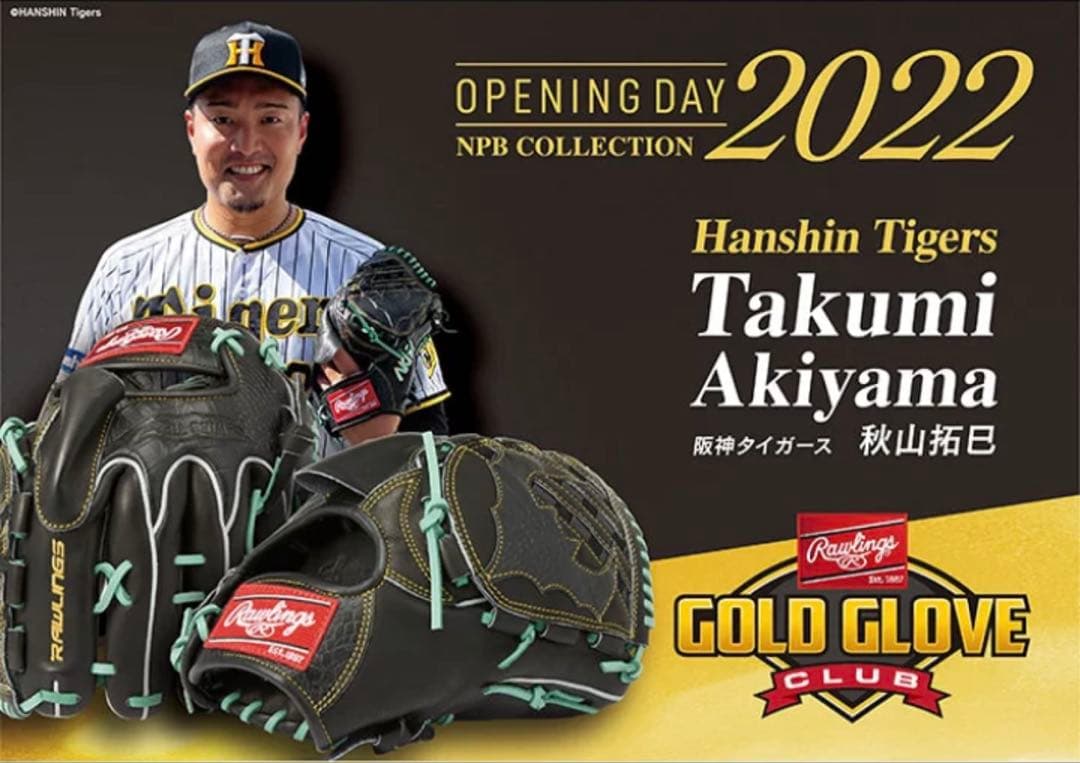 ローリングス　軟式投手用グローブ　HOH 限定品