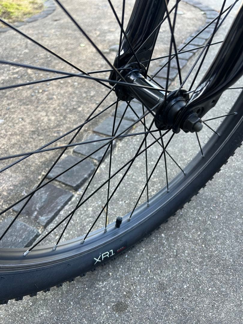 TREKトレック　Precaliber 24 8-speed キッズバイク