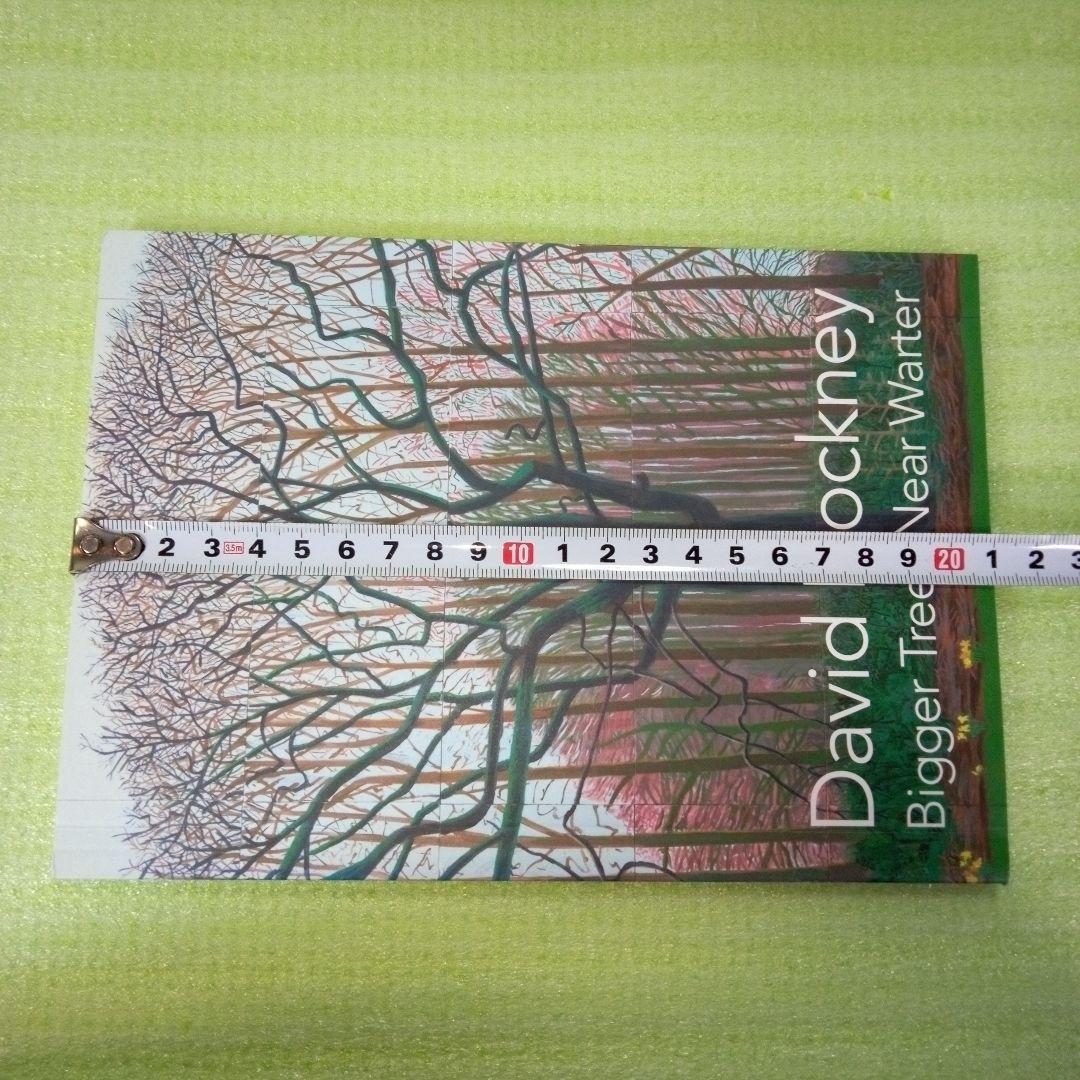 David Hockney　Bigger Trees Near Water　図録