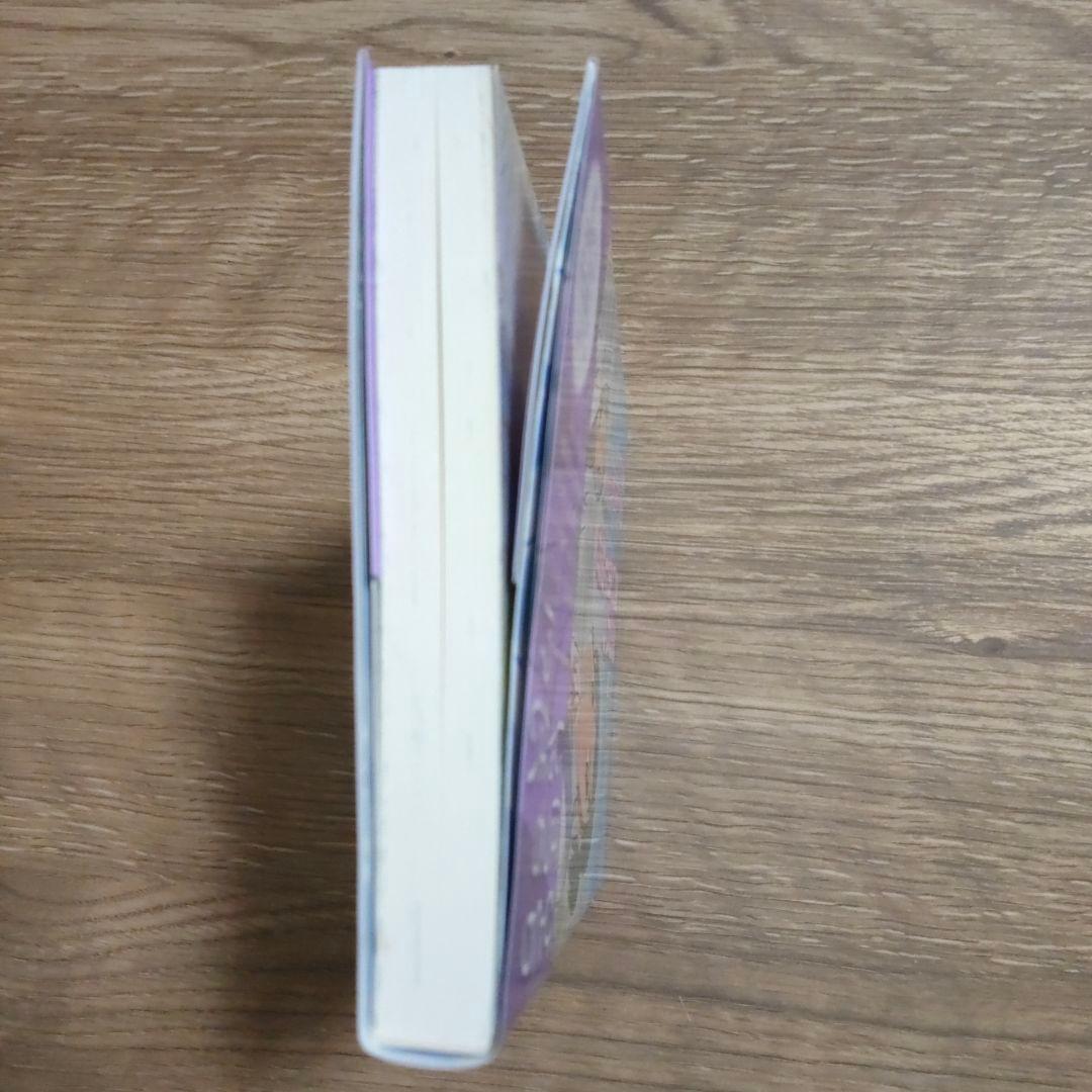 ヨコハマ買い出し紀行 : 見て、歩き、よろこぶ者 : 小説