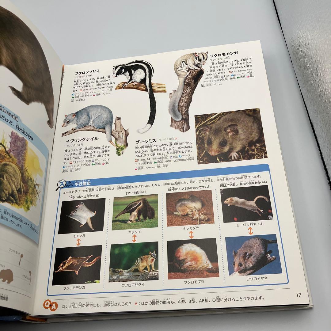講談社の動く図鑑 MOVE 14冊 DVD12枚　講談社　動物　宇宙　植物