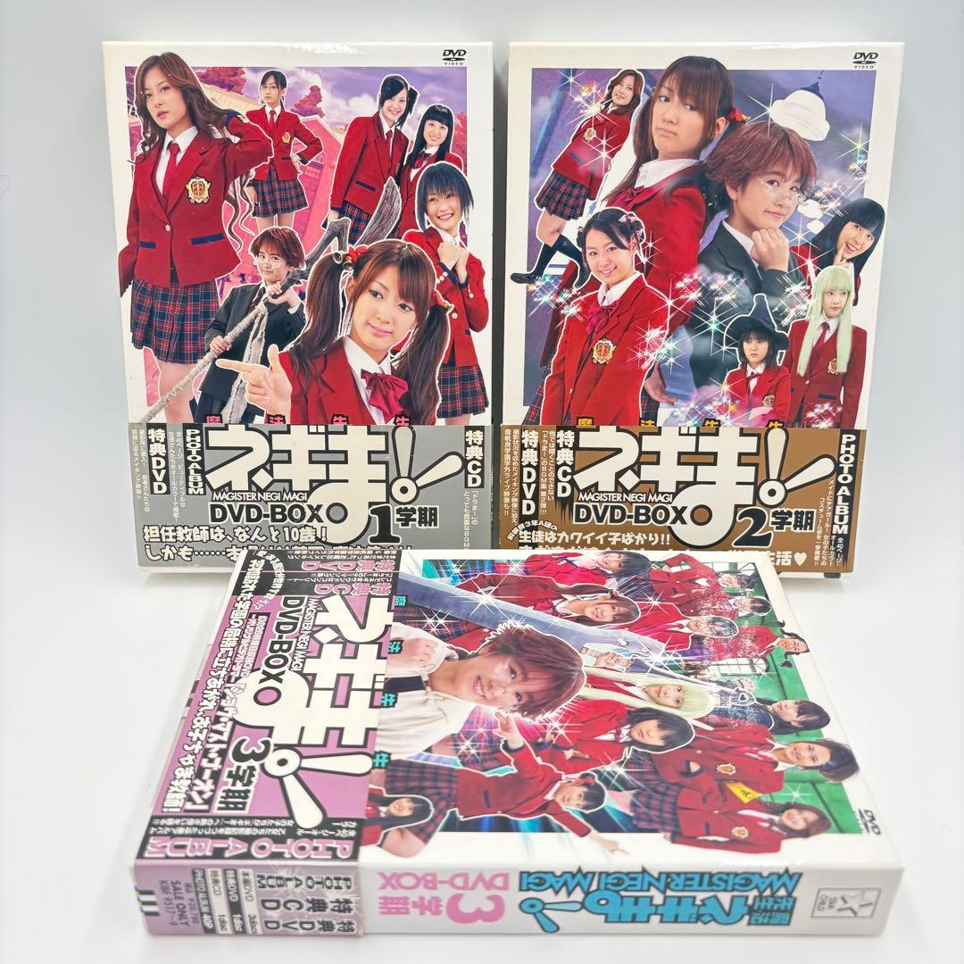 TVドラマ 魔法先生ネギま! DVD-BOX 全巻セット 1-3学期 完結 希少