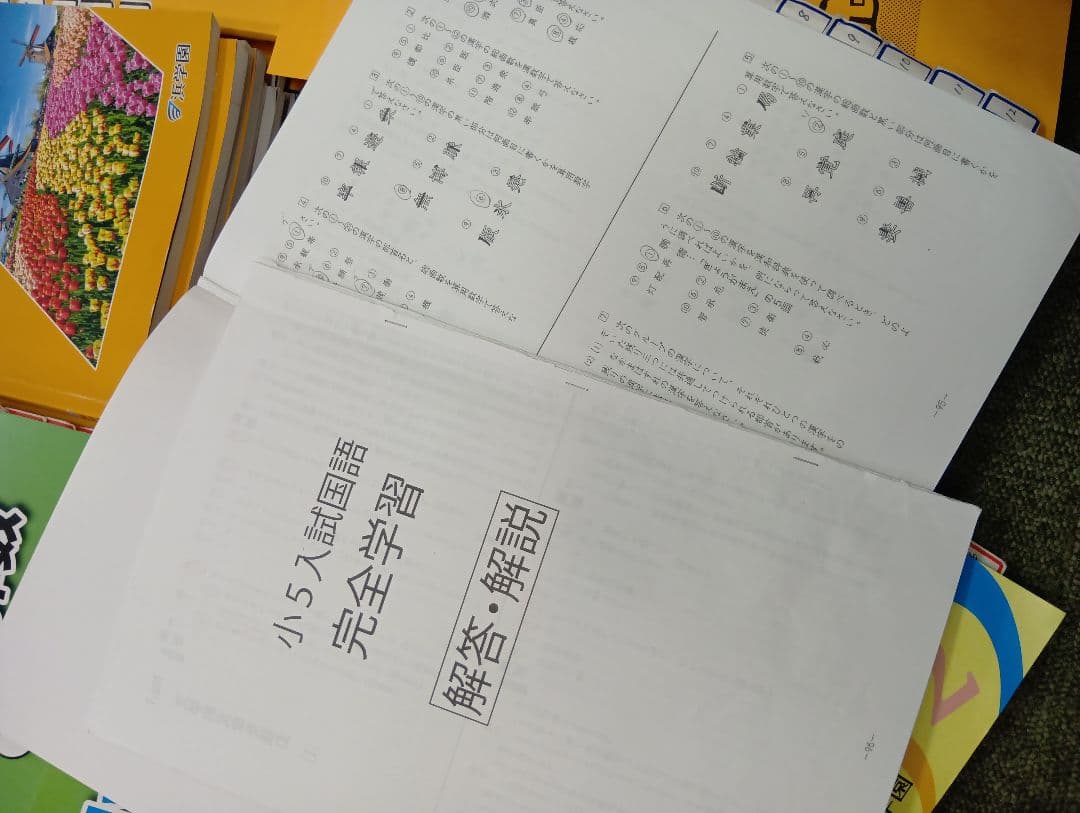 浜学園　小５　国語/算数/理科/春/夏/冬　テキスト　2024年使用版　 中古