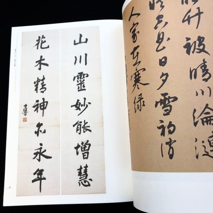 【中国書道】「潘伯鷹 - 海派代表書法家系列作品集」上海書画出版社