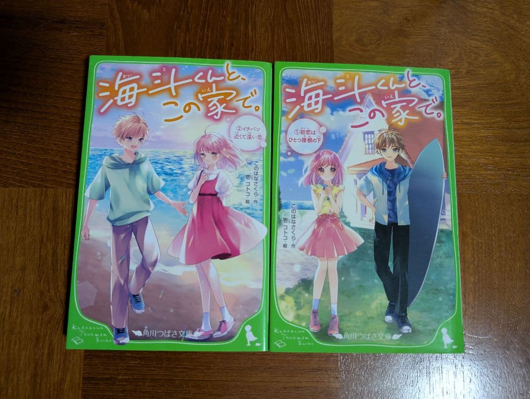 キミにはないしょ！絶対好きにならない同盟 時間割男子 スターツ文庫 27冊