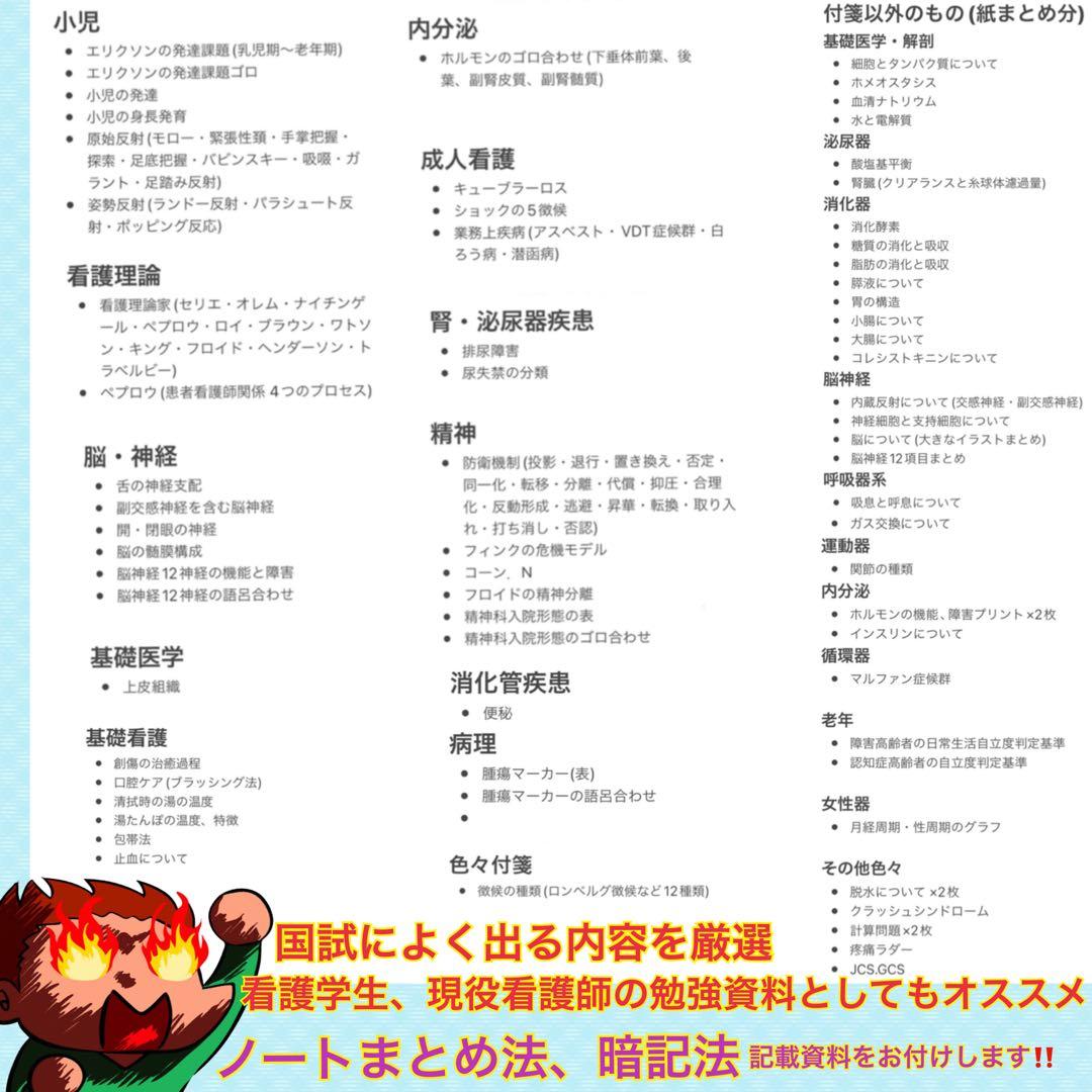 激安‼️ 看護師国家試験まとめノート 付箋ノート 国試 解剖生理学 付箋ノート