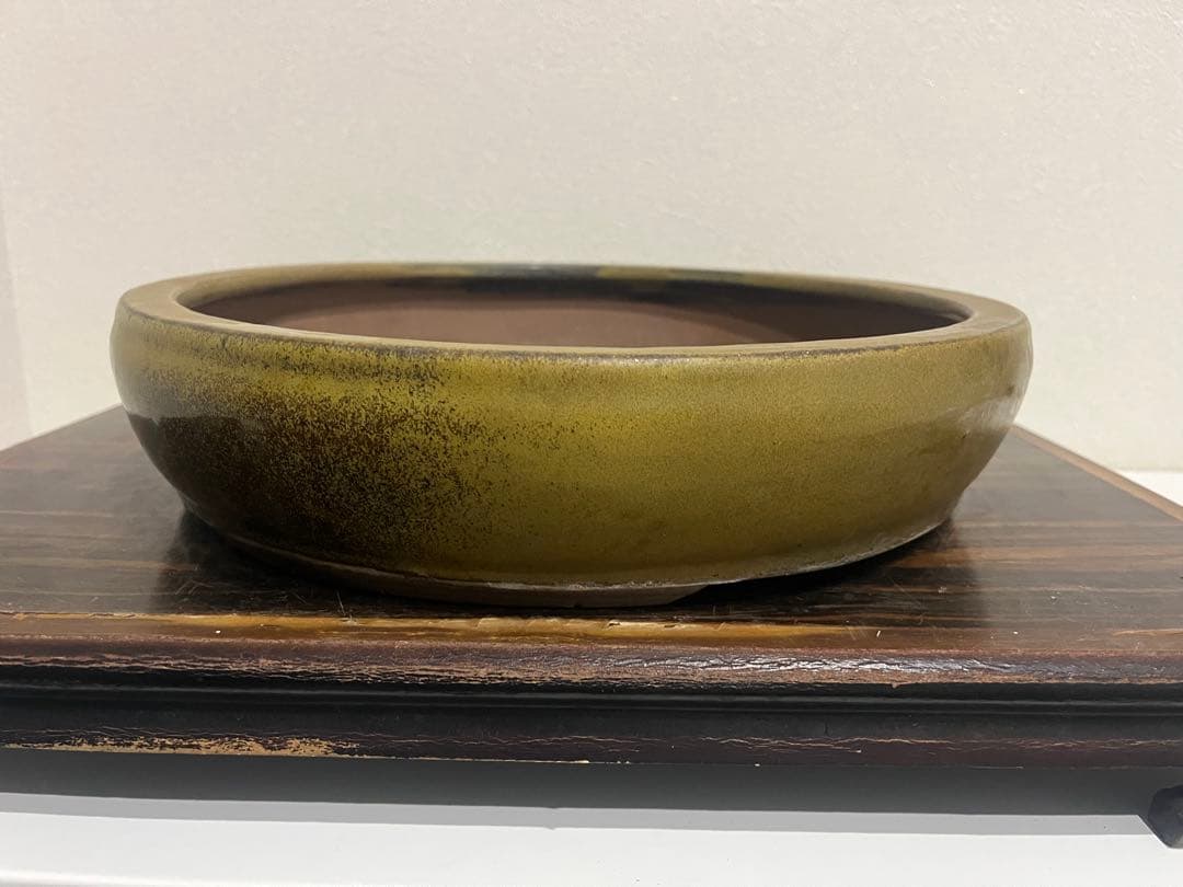 発色抜群　黄釉　中国古盆器　宣興　丸鉢　盆栽鉢