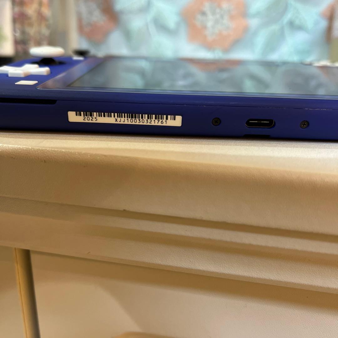 Nintendo Switch Lite 青　ジャンク品（水没しました）