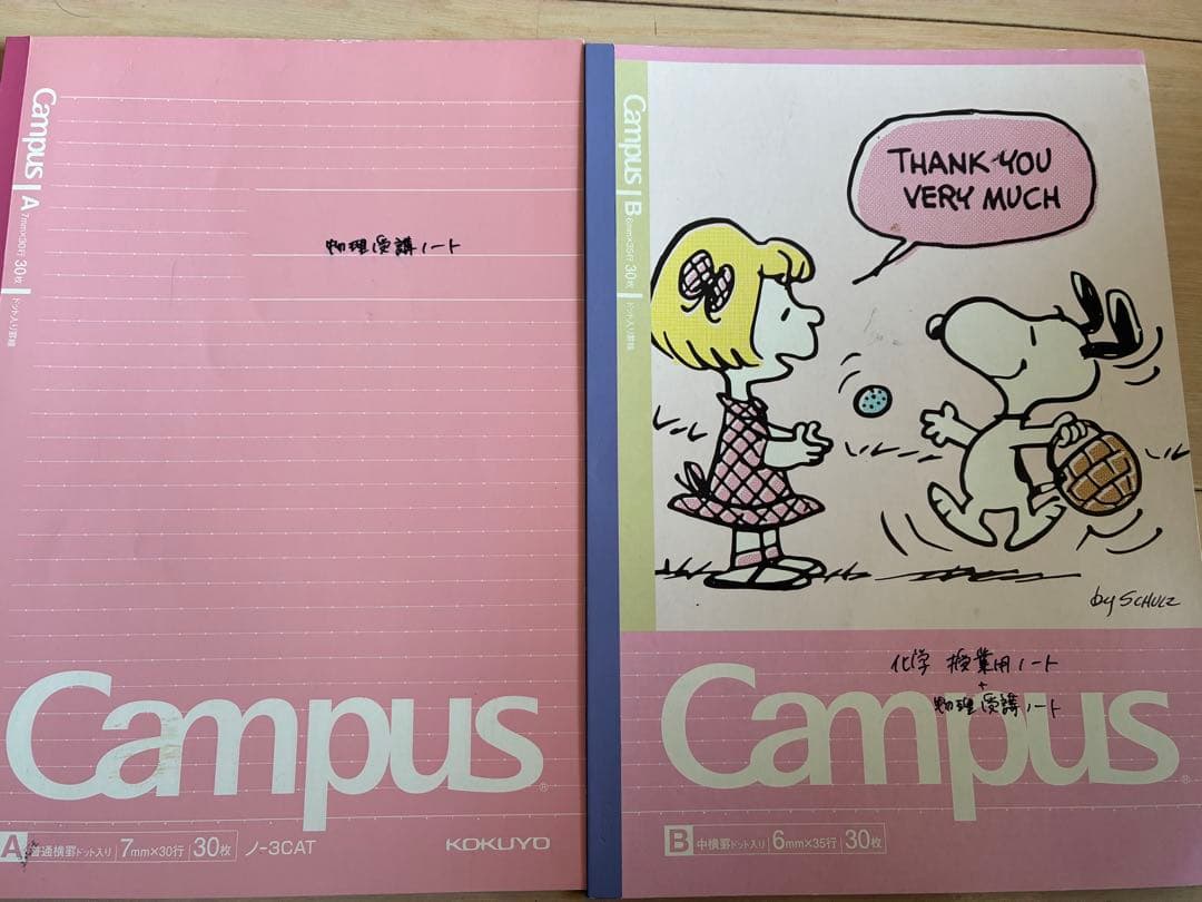 ハイレベル物理学・電磁気学・キャンパスノートセット