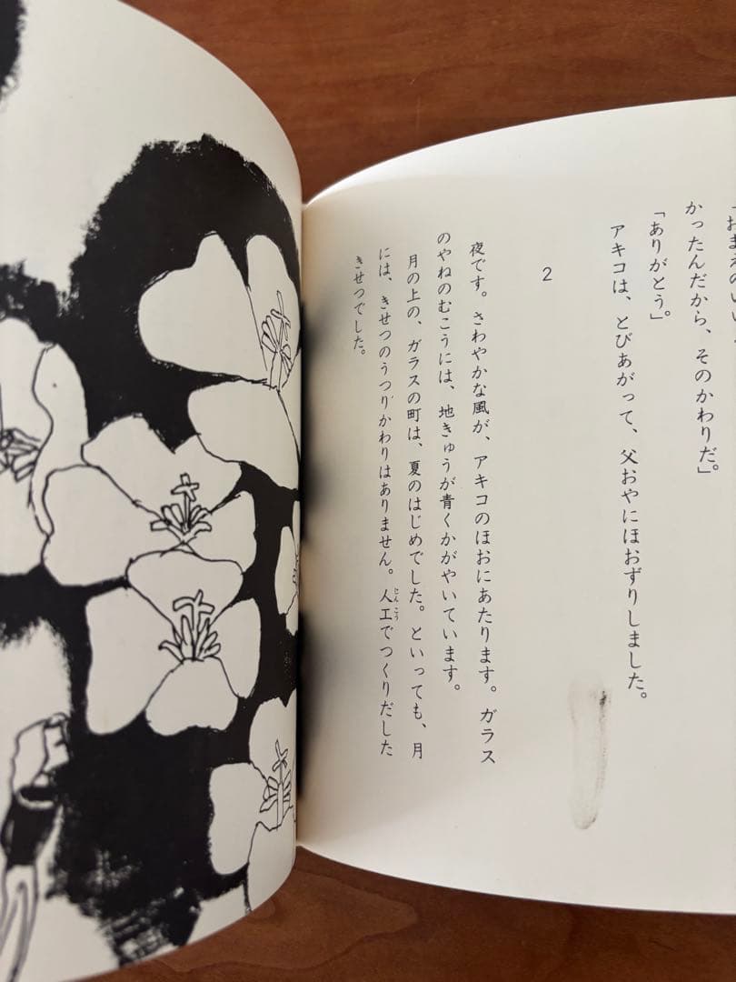 月の上のガラスの町　函あり