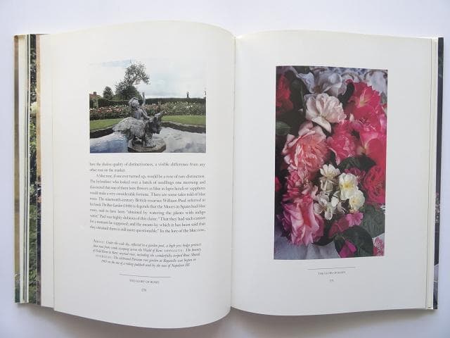 洋書◆薔薇の写真集 本 植物 バラの起源と歴史 伝承 用途 芸術 文学