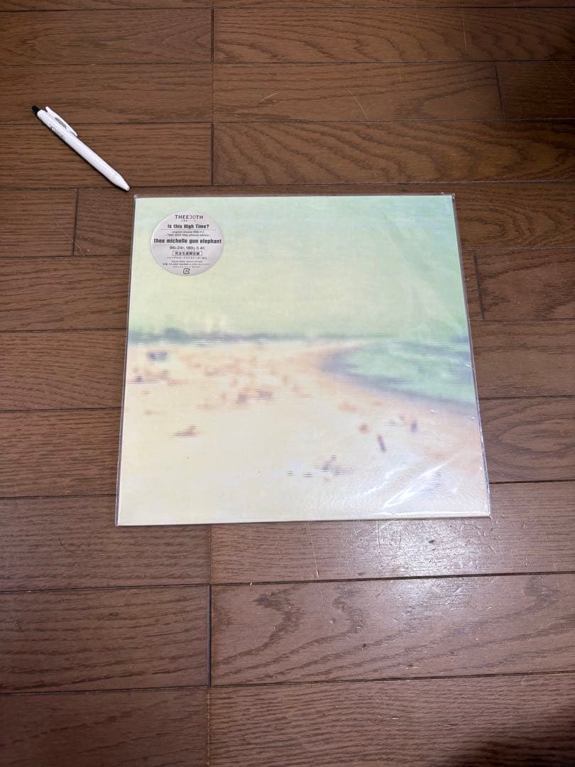 THEE MICHELLE GUN ELEPHANT レコード