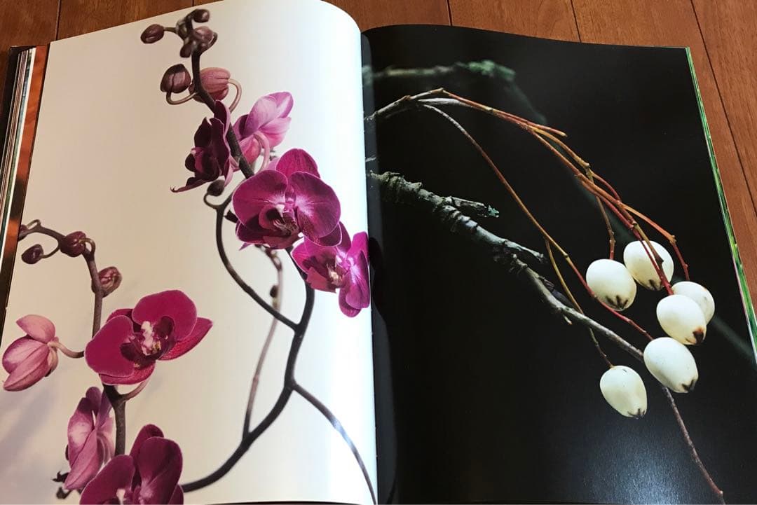 PLANTWORLDS アンドレア・ジョーンズ 植物写真集 洋書