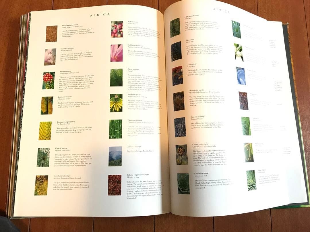 PLANTWORLDS アンドレア・ジョーンズ 植物写真集 洋書