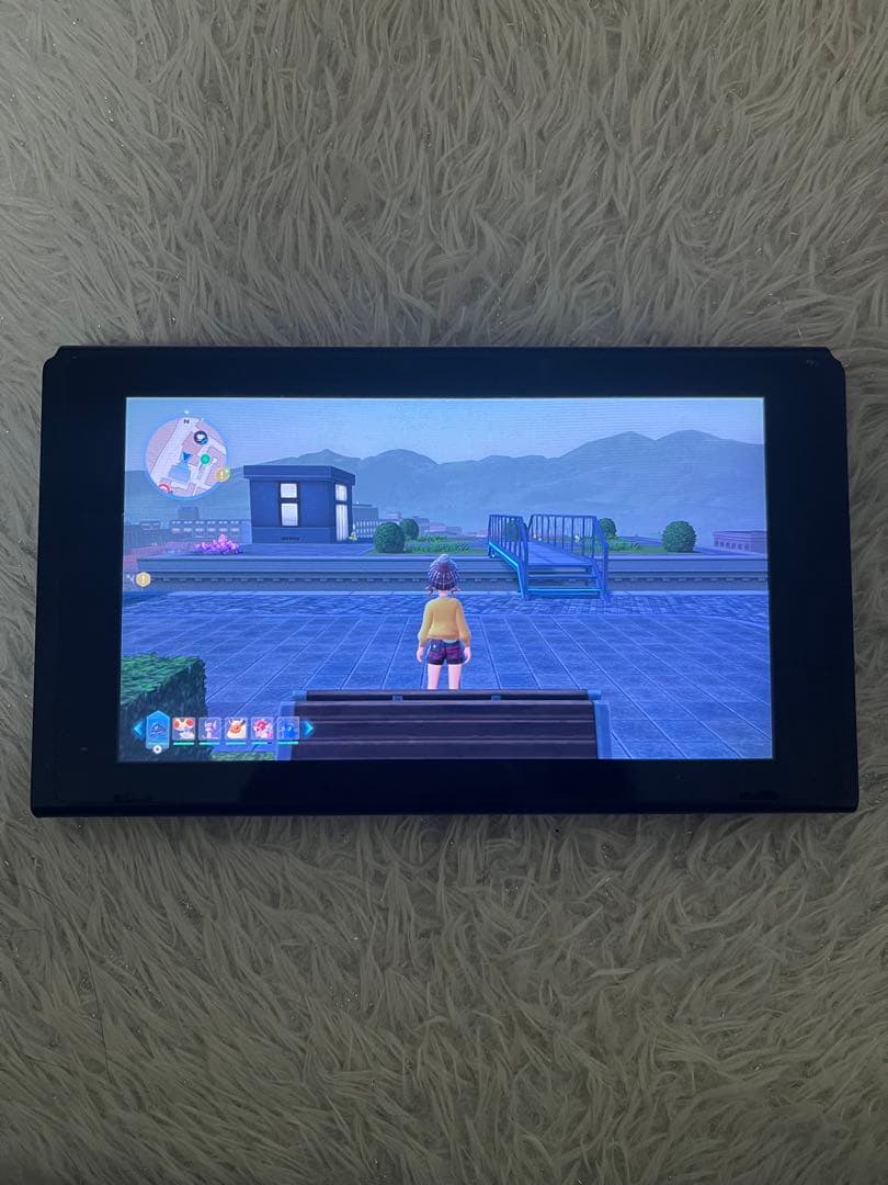 スイッチ本体のみです。