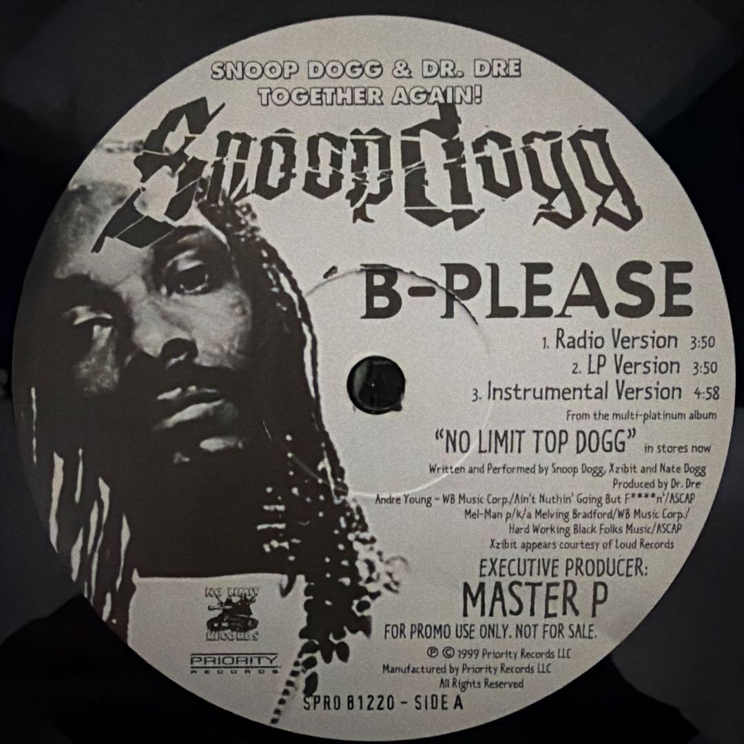 Snoop Dogg レコード6枚セットB-Please 他