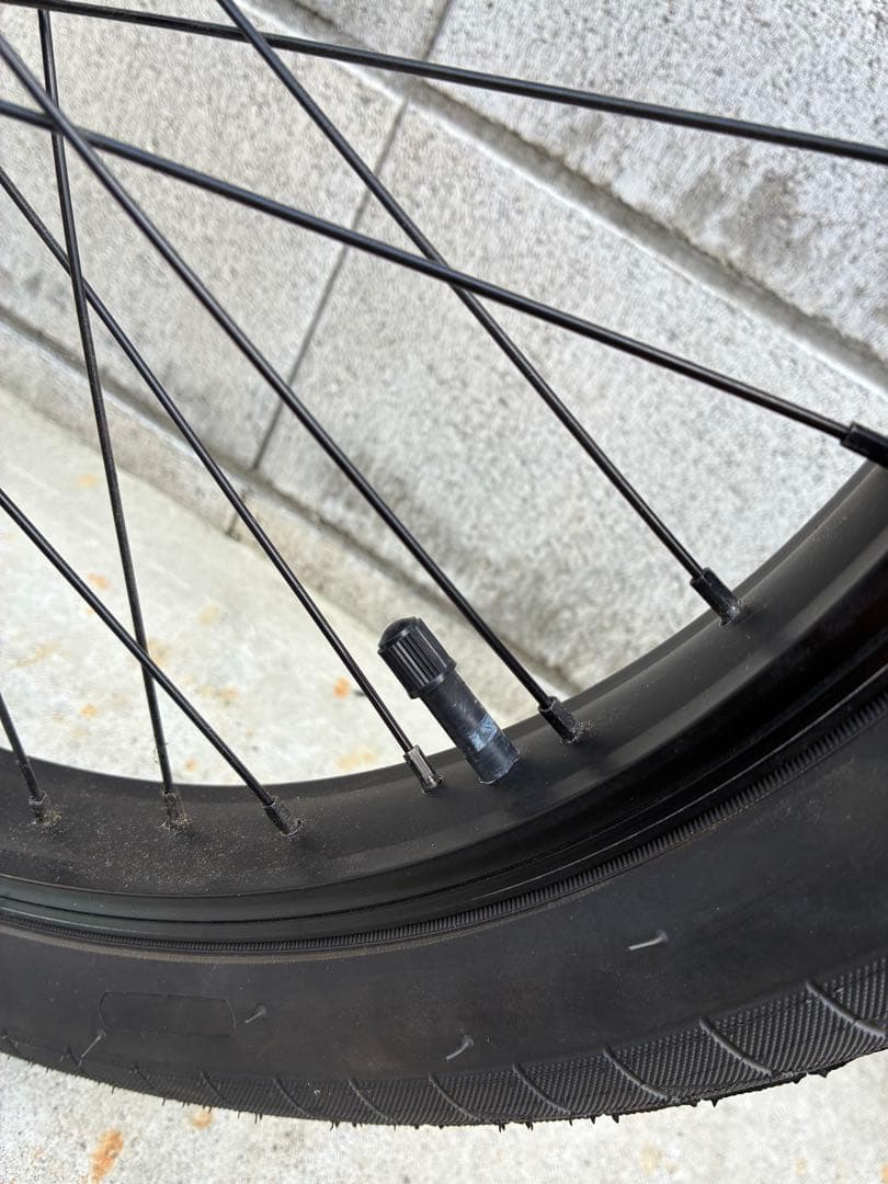 【直接引き取りのみ】LEUCADIA BMXバイク 20インチ ブラック