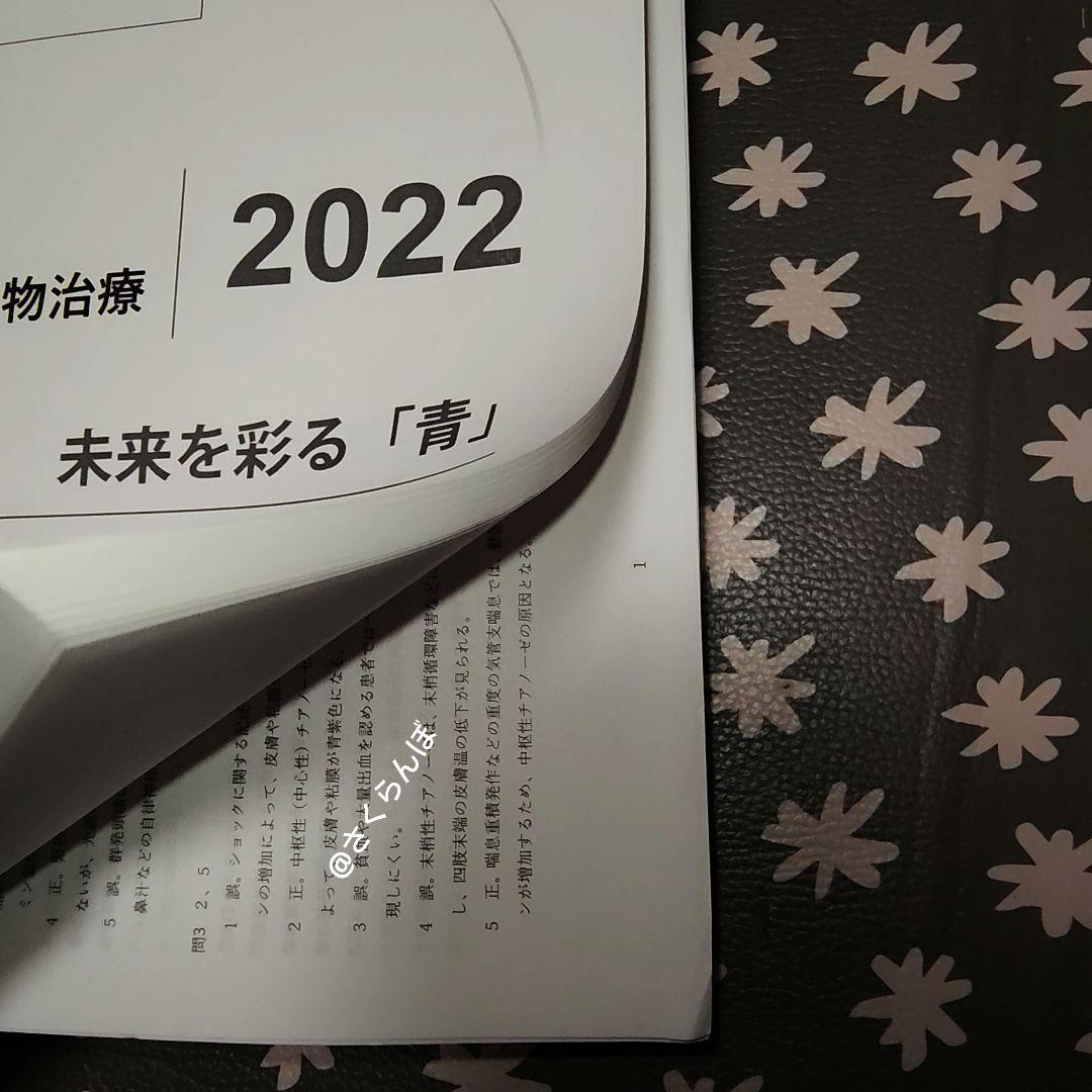 薬ゼミ　2025青本凝縮教科書　直前講習　やま　全科目　111回〜受験　予備校生