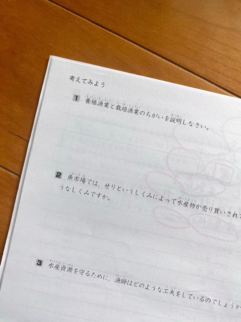 【中学受験】エルカミノ新小5社会1年分テキスト38部＋確認テスト31部
