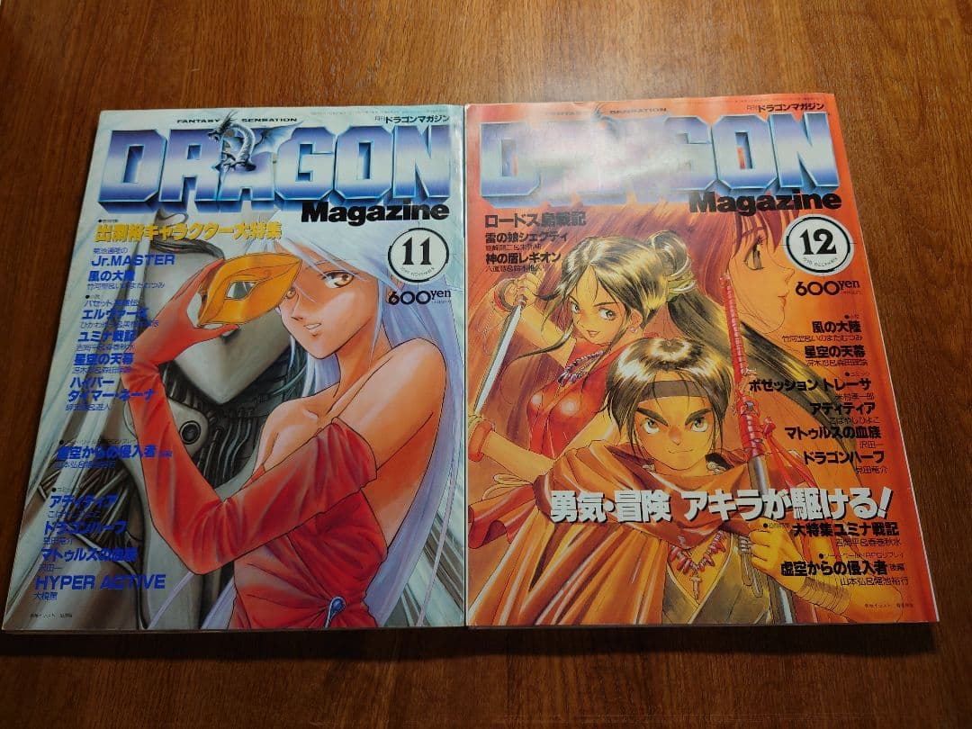富士見書房 月刊ドラゴンマガジン ×12冊