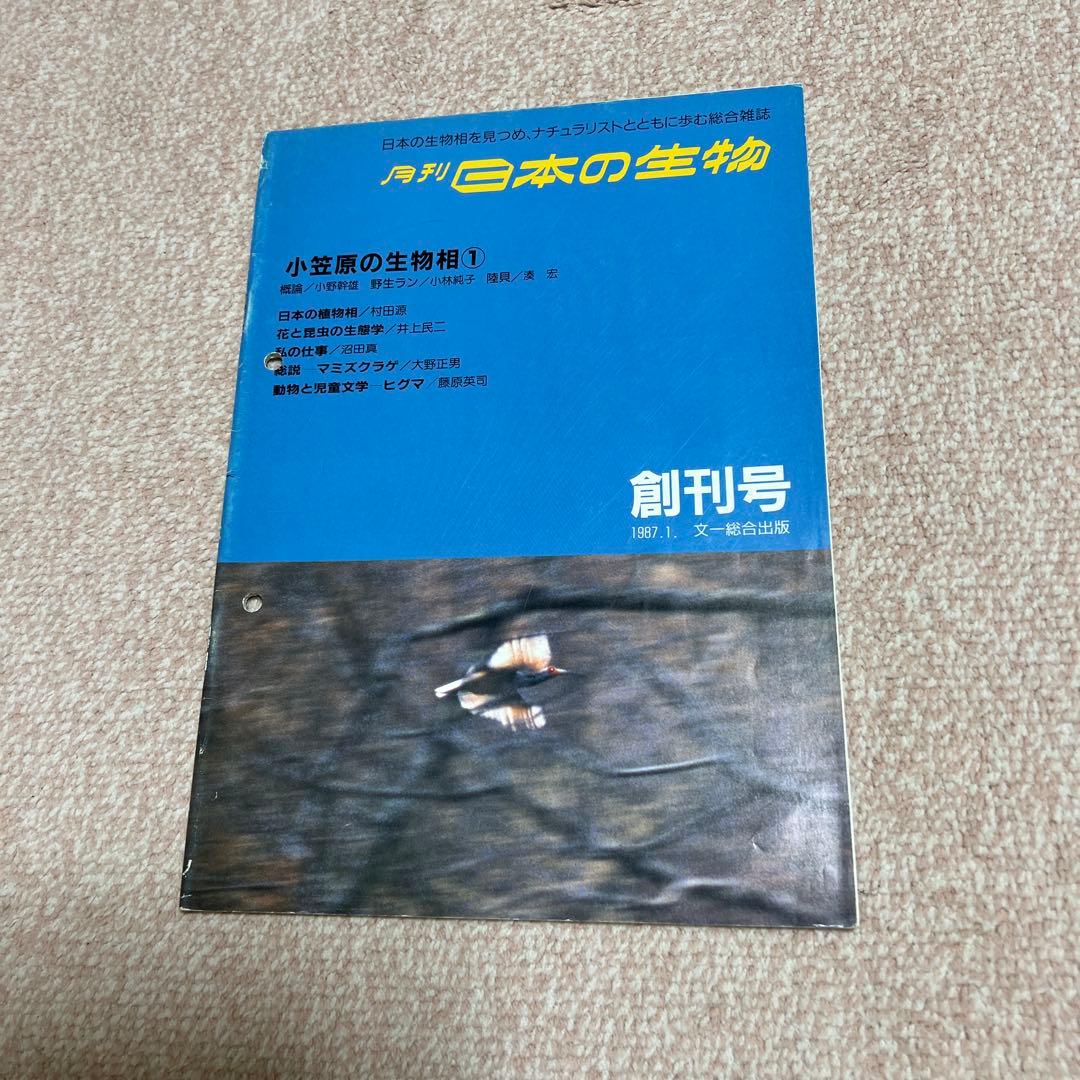 BIRDER バーダー（月刊日本の生物）　　　　　　　　441冊 37年分