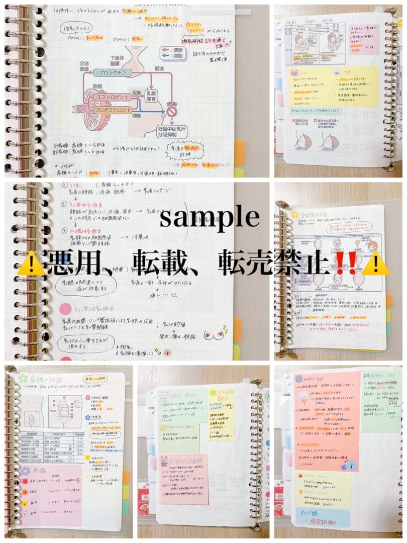 助産ノート 全セット 237ページ!