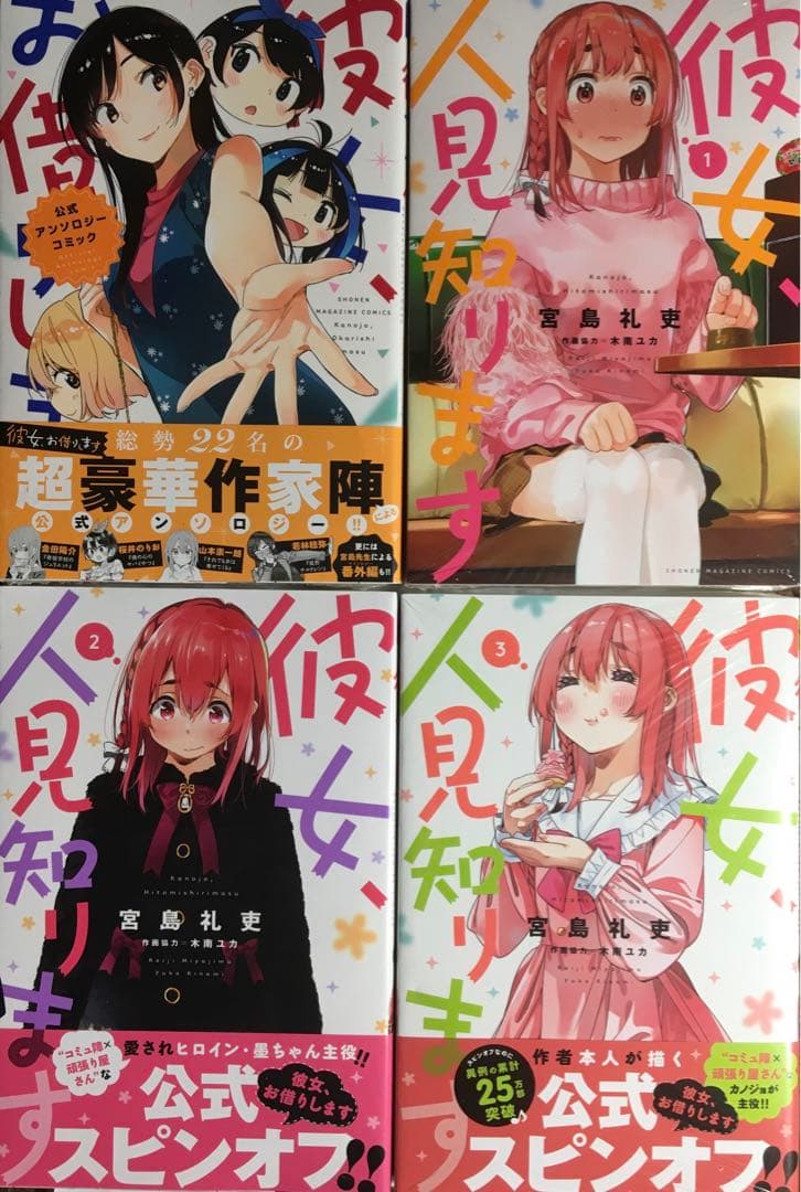 彼女、お借りします セット本