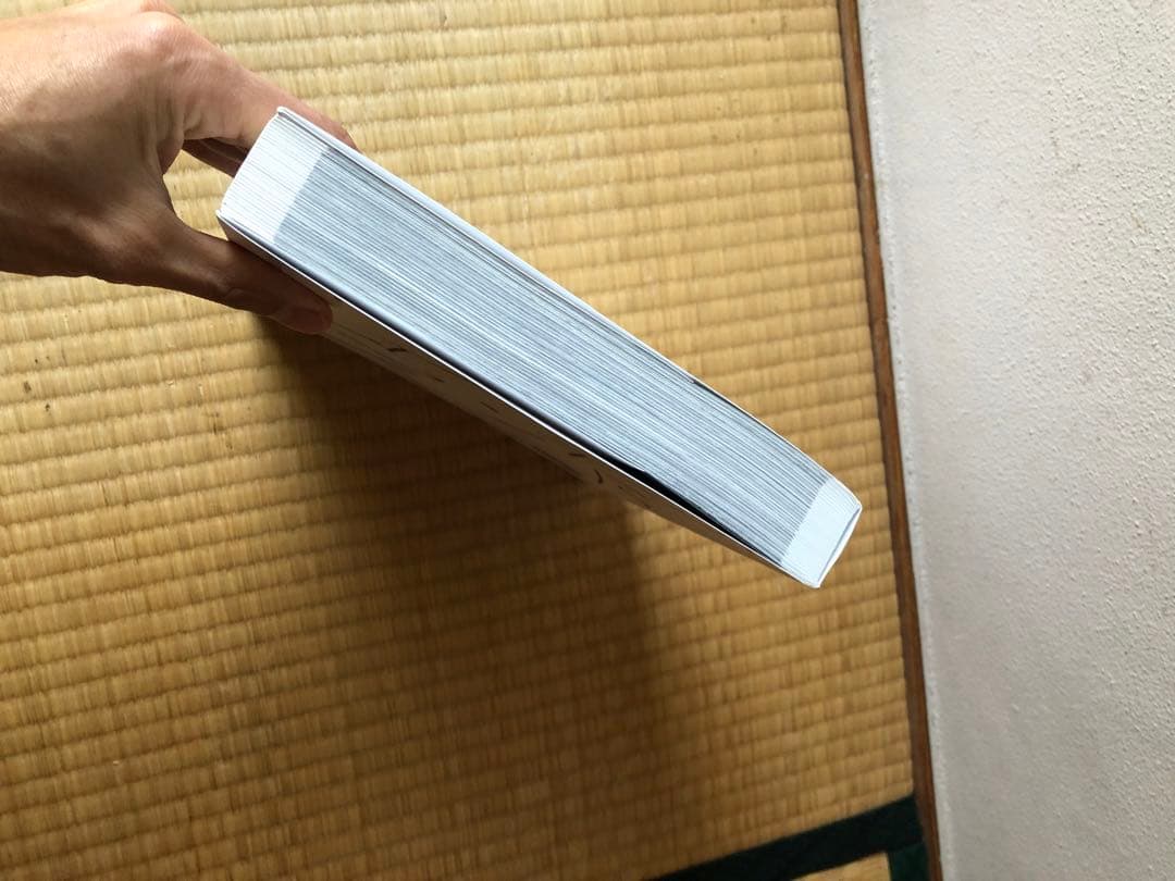 JAPAN WORKS ジャパン・ワークス Aglaia Konrad