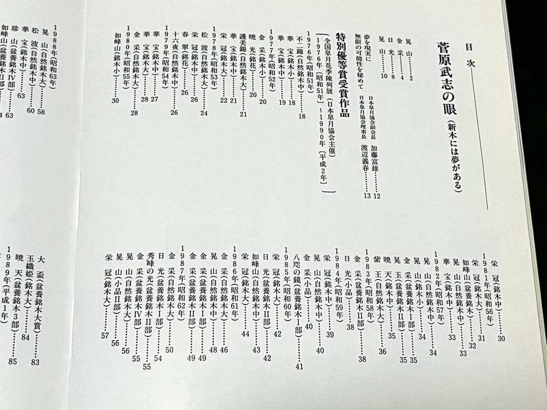 盆栽 さつき 菅原武志の眼 新木には夢がある