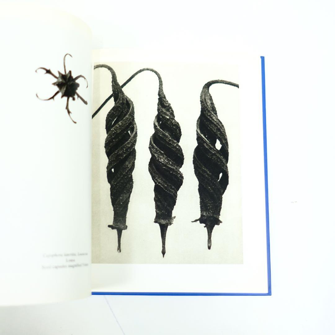 Karl Blossfeldt Taschen カール・ブロスフェルド　写真集