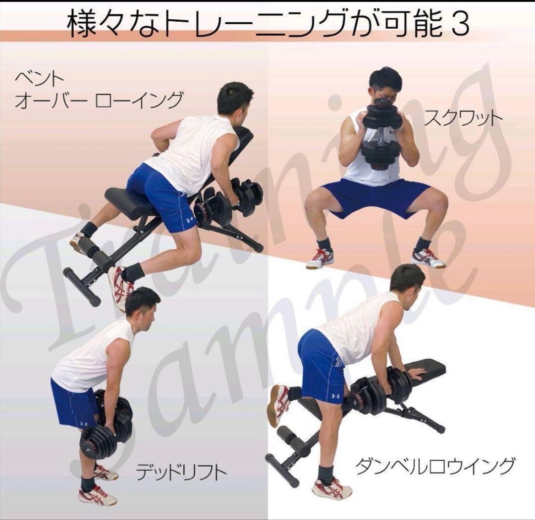 限界突破40kg 可変式ダンベル｜高重量対応モデル １個　　②/②