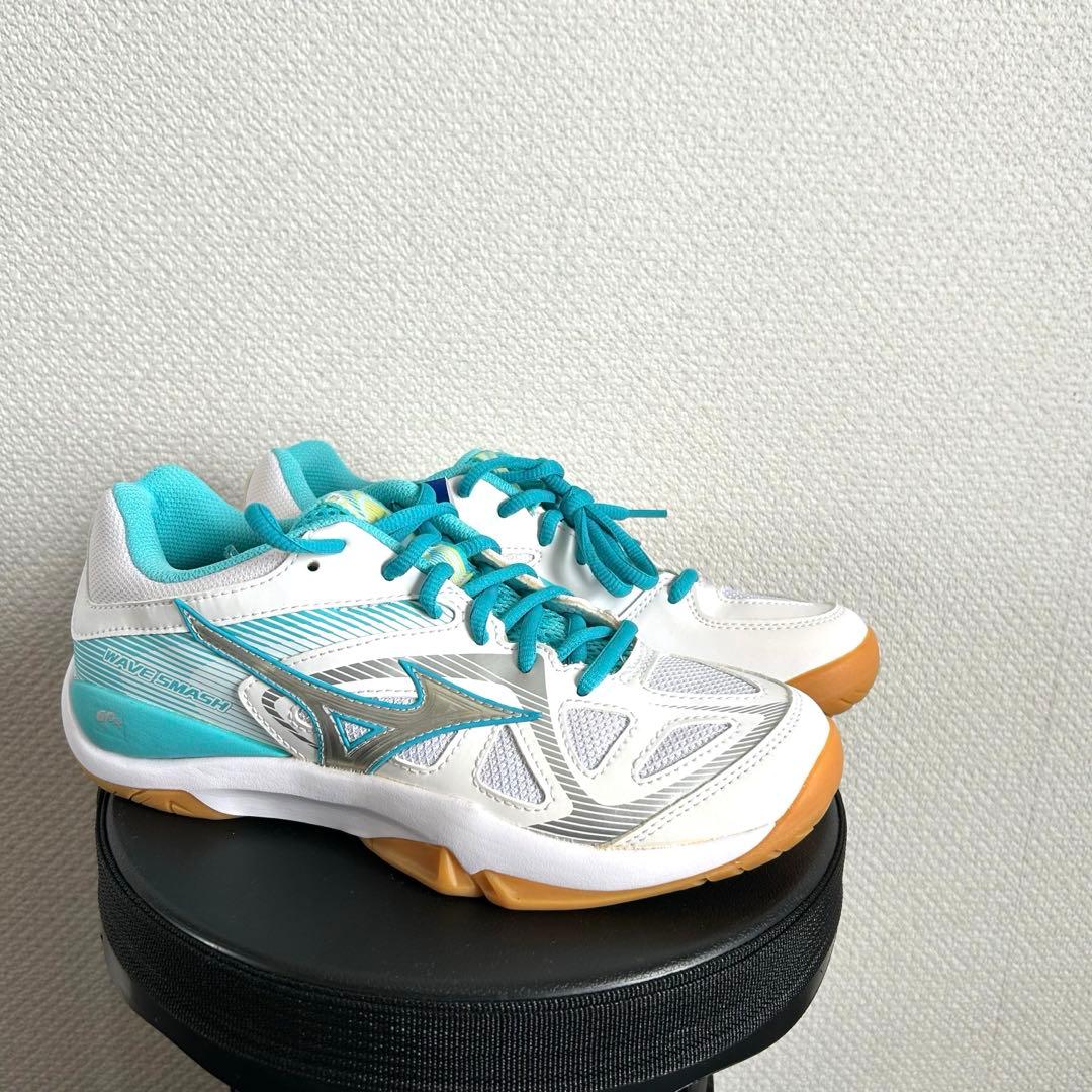 新品未使用　バドミントンシューズ24.0cm