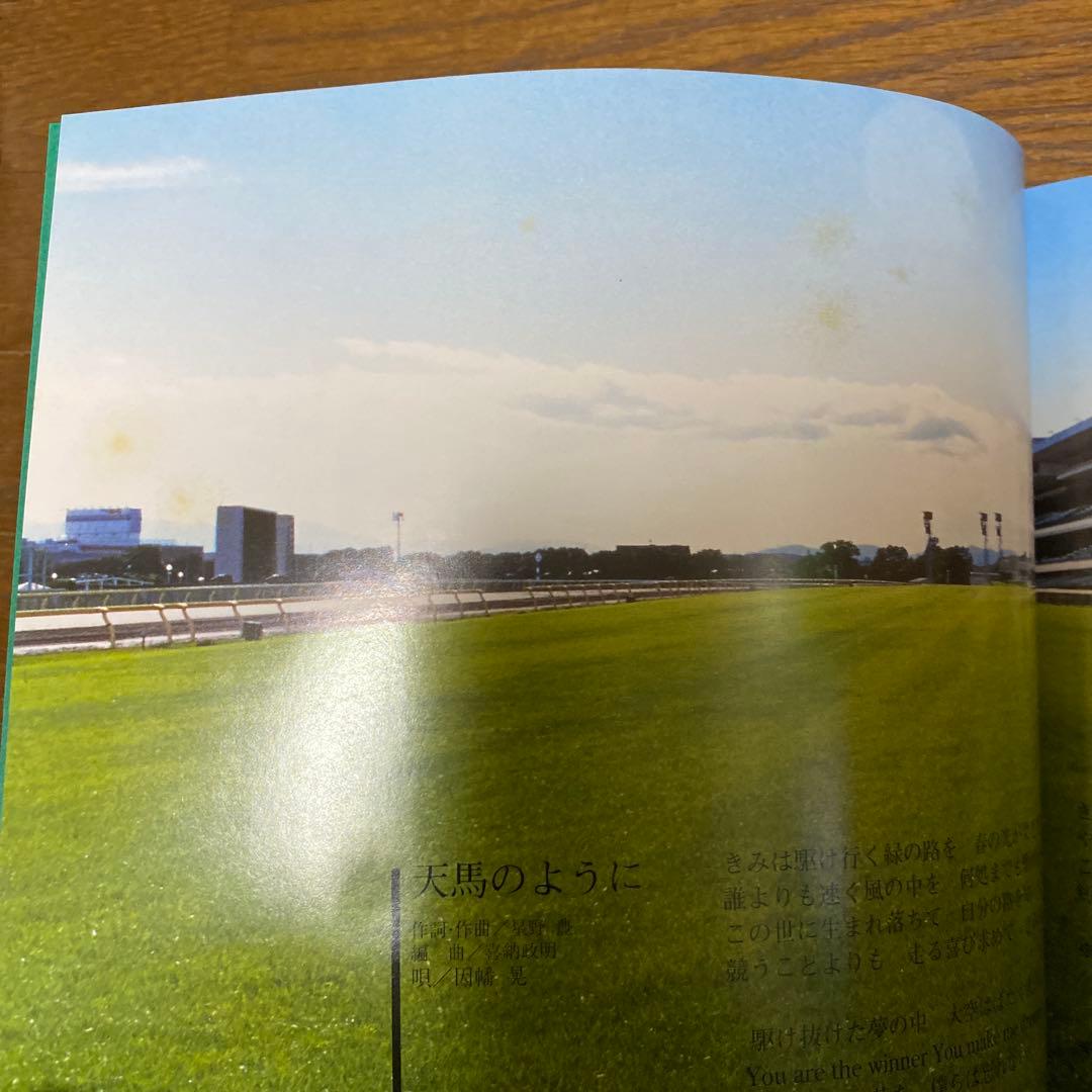 天馬のように　サイレンススズカ一周忌追悼写真集
