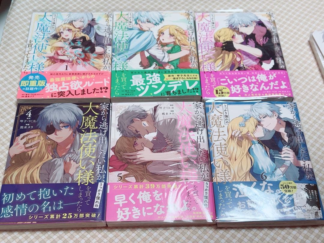 【特典4点】家から逃げ出したい私が、うっかり憧れの大魔法使い様を買ってしまったら