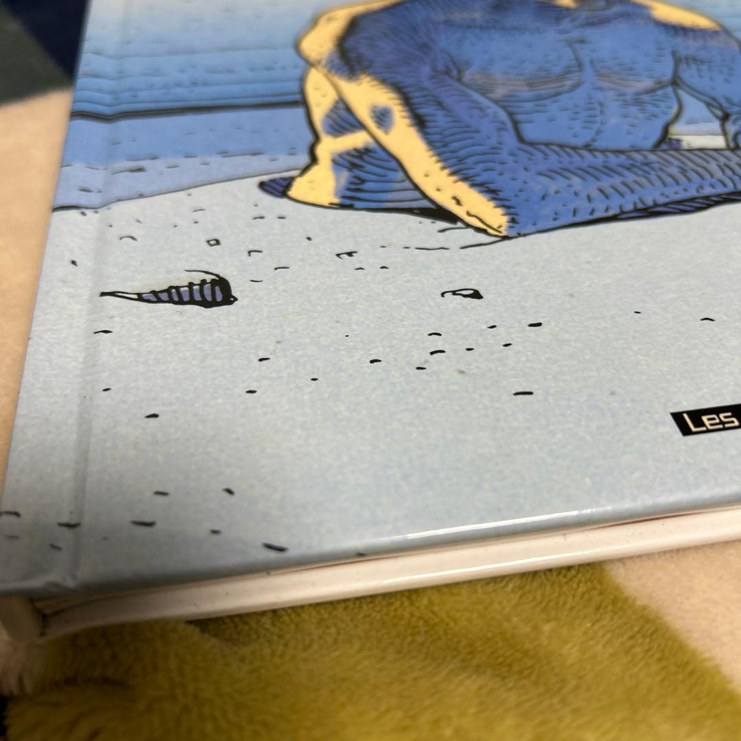 chroniques lliques moebius メビウス　画集