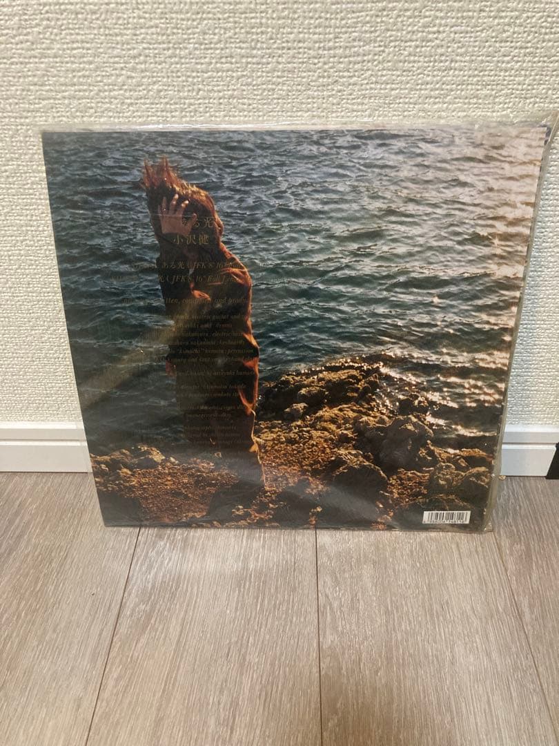 ※バビロン　小沢健二　ある光　アナログ　レコード　LP