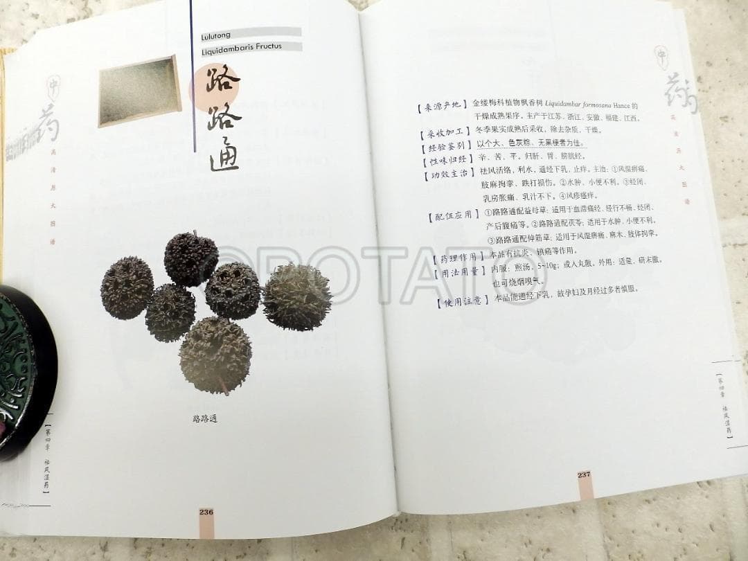 中国語書籍：中药高清原大图谱【新品】