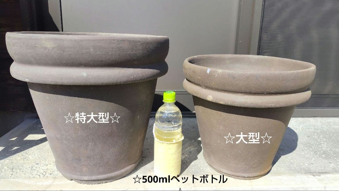■陶器製（クレイ製）超大型■