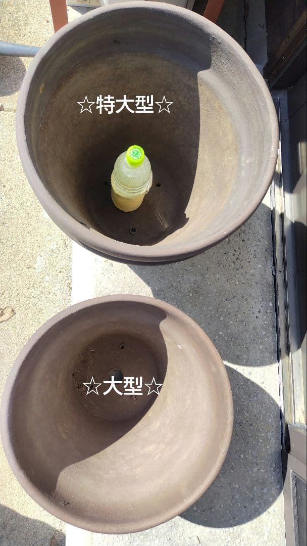 ■陶器製（クレイ製）超大型■